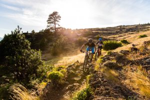 Specialized bikers riding on a rough terrain Specialized bikers riding on a rough terrain